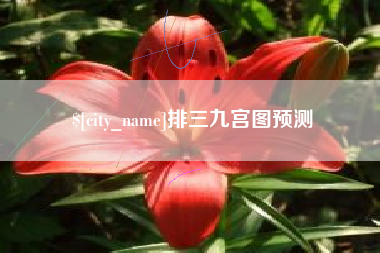 铜仁排三九宫图预测