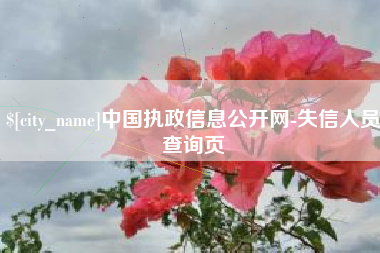铜仁中国执政信息公开网-失信人员查询页