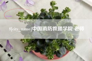 铜仁中国消防救援学院 老师