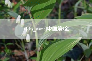 铜仁中国第9金