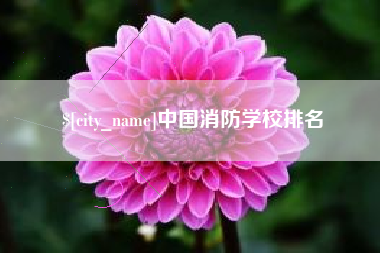 铜仁中国消防学校排名