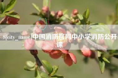 铜仁中国消防官网中小学消防公开课