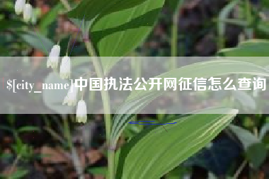 铜仁中国执法公开网征信怎么查询