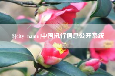 铜仁中国执行信息公开系统