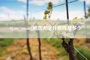 铜仁消防大学分数线是多少