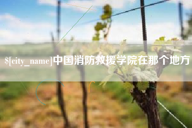 铜仁中国消防救援学院在那个地方