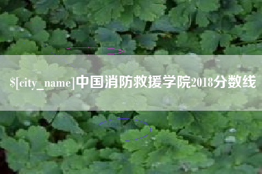 铜仁中国消防救援学院2018分数线