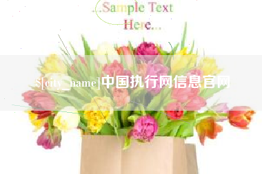 铜仁中国执行网信息官网