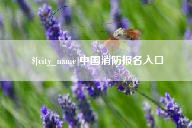 铜仁中国消防报名入口
