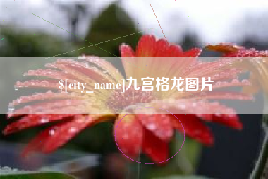铜仁九宫格龙图片