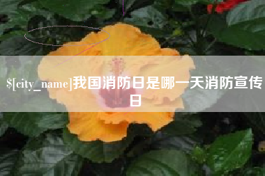 铜仁我国消防日是哪一天消防宣传日