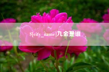 铜仁九金是谁