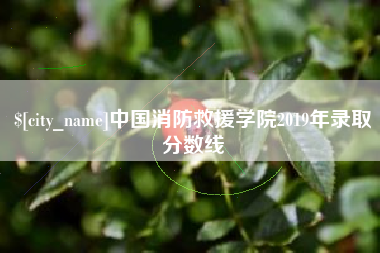 铜仁中国消防救援学院2019年录取分数线
