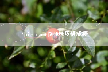铜仁5000米及格成绩