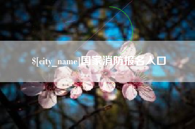铜仁国家消防报名入口