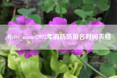 铜仁2025年消防员报名时间表格