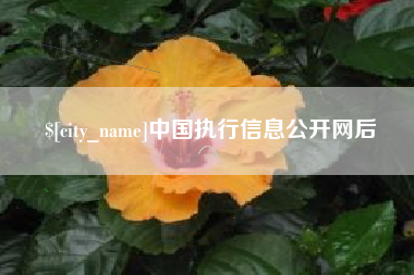 铜仁中国执行信息公开网后