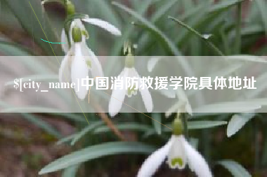 铜仁中国消防救援学院具体地址
