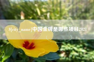 铜仁中国金牌是哪些项目2021