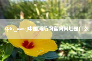 铜仁中国消防网官网网址是什么