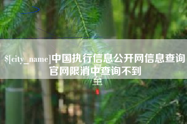 铜仁中国执行信息公开网信息查询官网限消中查询不到