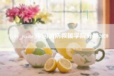 铜仁中国消防救援学院分数2020