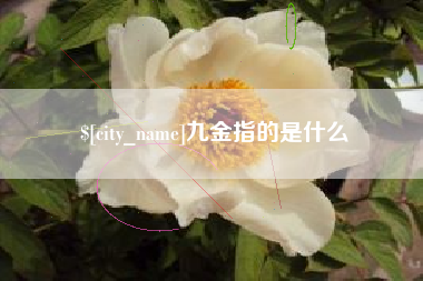铜仁九金指的是什么