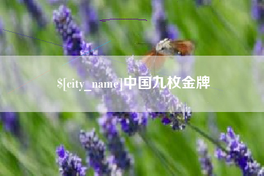 铜仁中国九枚金牌
