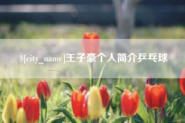 铜仁王子豪个人简介乒乓球