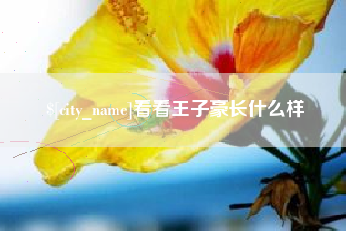 铜仁看看王子豪长什么样