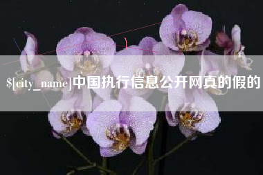 铜仁中国执行信息公开网真的假的