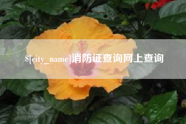 铜仁消防证查询网上查询
