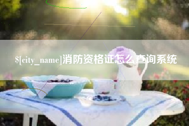 铜仁消防资格证怎么查询系统