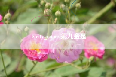 铜仁第九金是