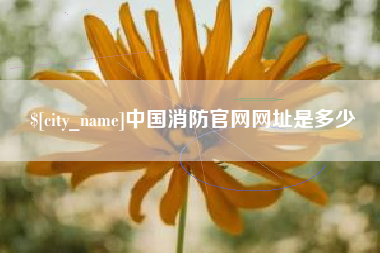 铜仁中国消防官网网址是多少