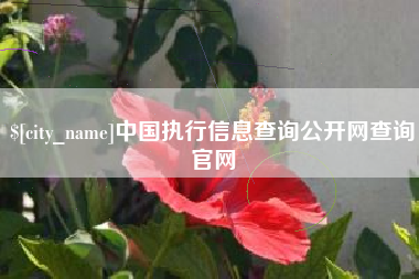 铜仁中国执行信息查询公开网查询官网