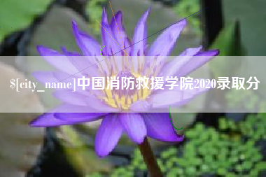铜仁中国消防救援学院2020录取分