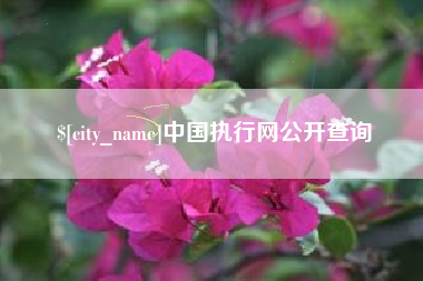 铜仁中国执行网公开查询