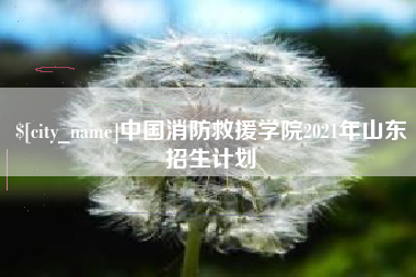 铜仁中国消防救援学院2021年山东招生计划