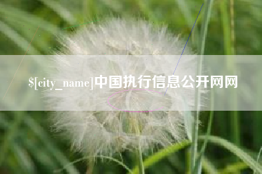 铜仁中国执行信息公开网网