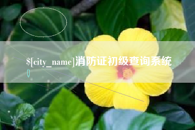 铜仁消防证初级查询系统