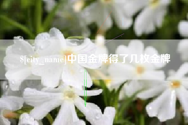 铜仁中国金牌得了几枚金牌