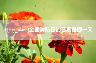 铜仁全国消防日的日期是哪一天