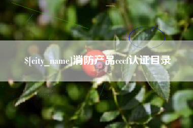 铜仁消防产品cccf认证目录