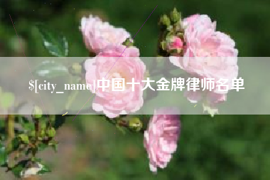 铜仁中国十大金牌律师名单