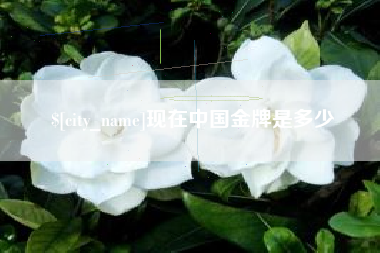 铜仁现在中国金牌是多少