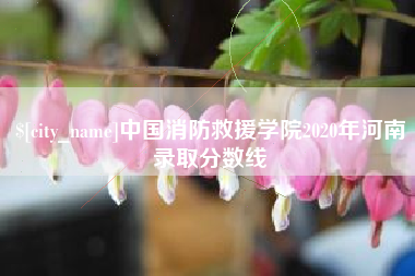 铜仁中国消防救援学院2020年河南录取分数线