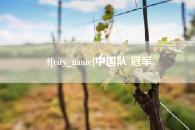 铜仁中国队 冠军