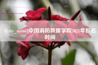 铜仁中国消防救援学院2021年报名时间