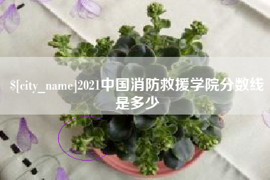 铜仁2021中国消防救援学院分数线是多少